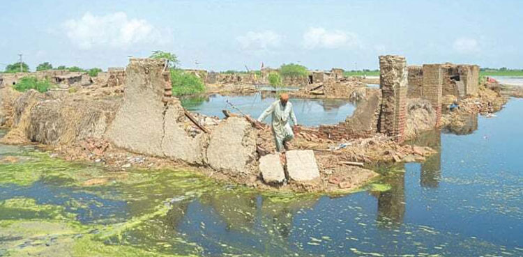 Development projects, 4RF framework, flood-affected areas