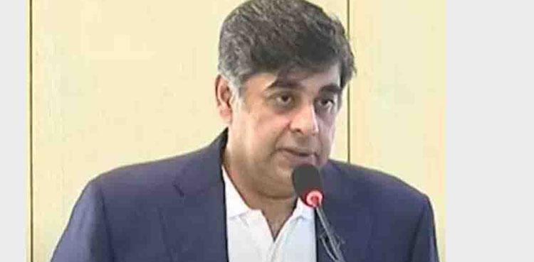 Gohar Ejaz, appointed, new interim overseas minister