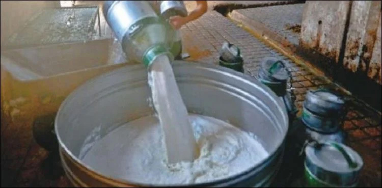 dairy associations, fined, milk price, Karachi