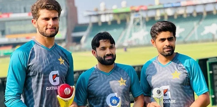 pakistan, cricket, pakistan cricket, cricket world cup, cricket world cup 2023, icc world cup 2023, icc cricket world cup, icc cricket world cup 2023,