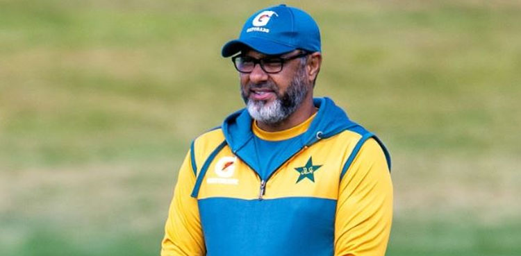 pakistan, india, cricket, pakistan cricket, india cricket, waqar younis, world cup, world cup 2023, cricket world cup, cricket world cup 2023, icc cricket world cup, icc cricket world cup 2023, icc world cup 2023, icc world cup