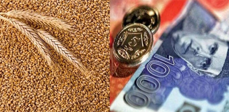 Punjab govt, fixes wheat price, Rs139.9 per kg