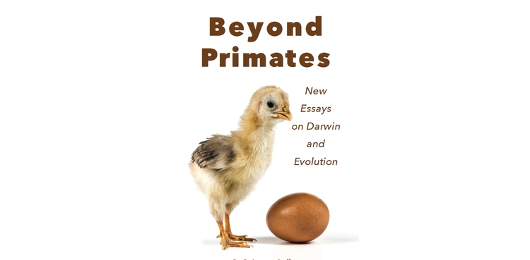 Beyond Primates: New Essays on Darwin and Evolution Rebecca Coffey