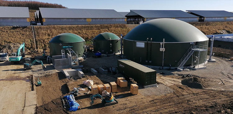 CM Naqvi lays foundation stone of Pakistan’s ‘biggest’ biogas plant