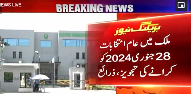 ECP, January 28, general elections