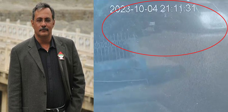 Haider Abbas Rizvi, CCTV footage, car snatching