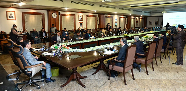 travel ban, caretaker government, ban lifted