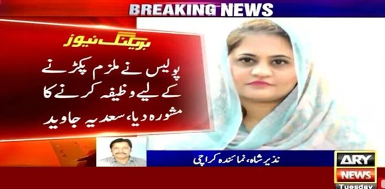 Housemaid, PPP leader, Robbery