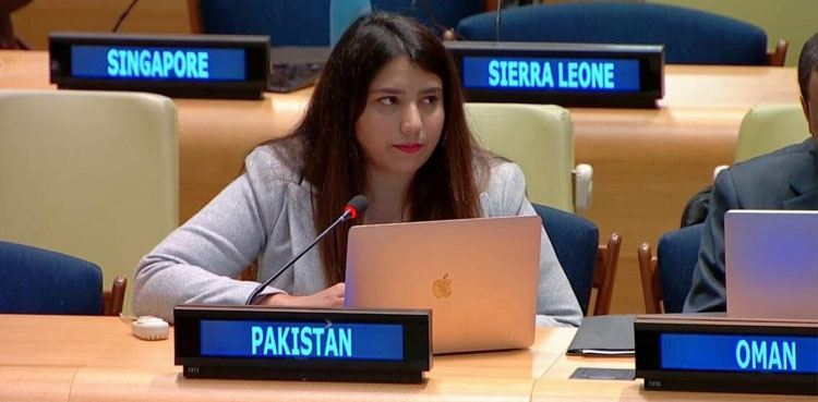 Palestine-Israel conflict, Israel strikes, Rabia Ijaz, Pakistan at UN