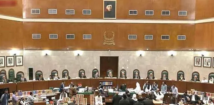 SC practice and procedure act, case hearing AGP