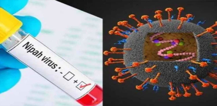 nipah virus India death