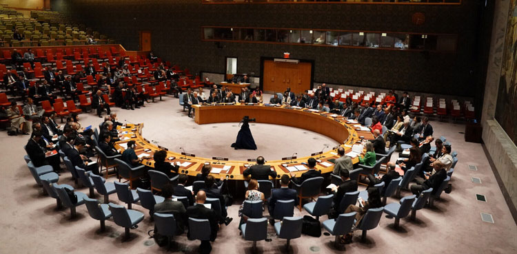 Pakistan, India, UNSC, Security Council