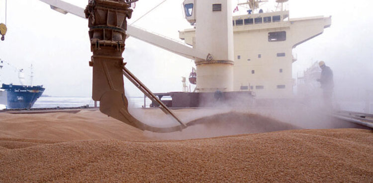 Wheat crisis Pakistan, axle load restrictions, Karachi port