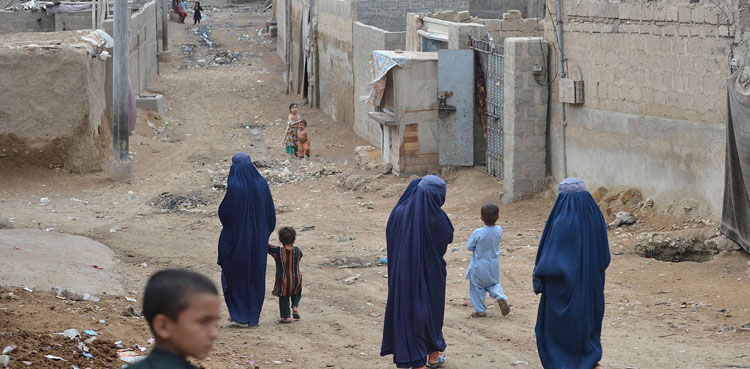 Pakistan, illegal immigrants, FO