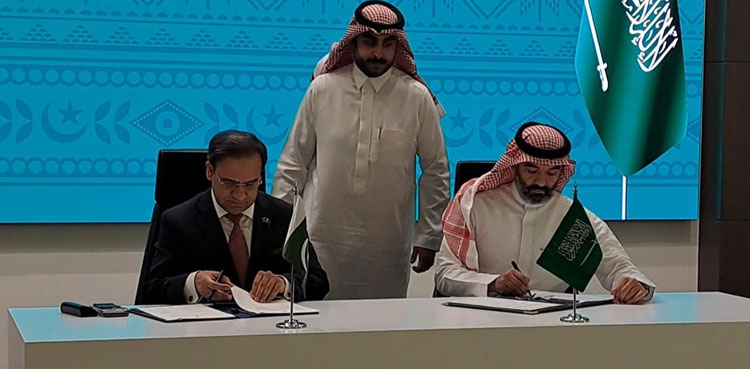 Pakistan, Saudi Arabia. IT sector