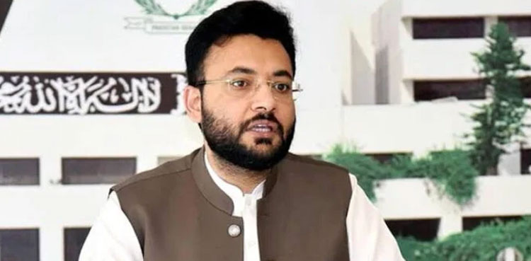 Farrukh Habib, IPP