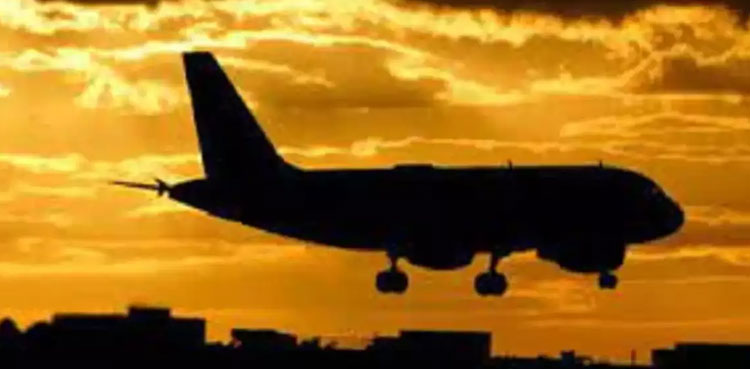 US plane gunfire hit, Dallas runway, aviation agency