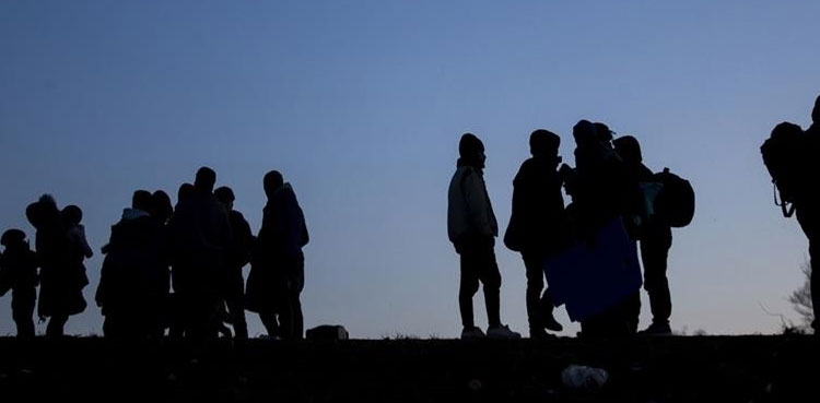 illegal immigrants, deportation, Punjab, Mohsin Navi