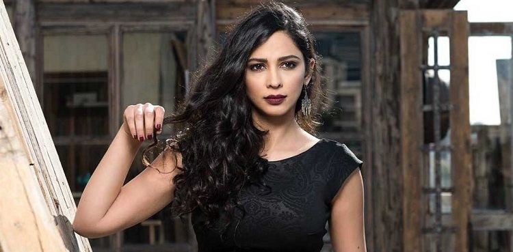 maisa abdel hadi, arrested, isareli actor, israel hamas conflict