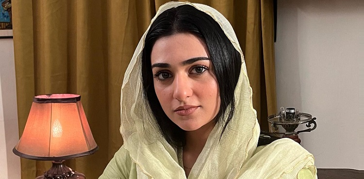 sarah khan, health update, hospitalized, falak shabir