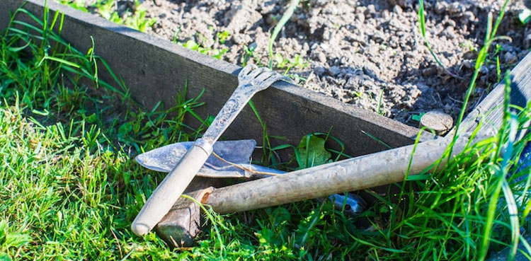 Sisters murder, murder with shovel