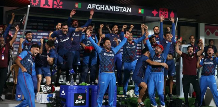Afghanistan vs Netherlands - ICC World Cup 2023 match