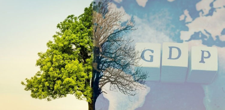 Climate change already reducing global GDP: report