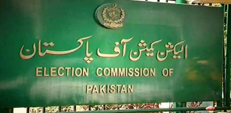 General Election 2024, ECP, directs authorities, ensure level playing field, all parties