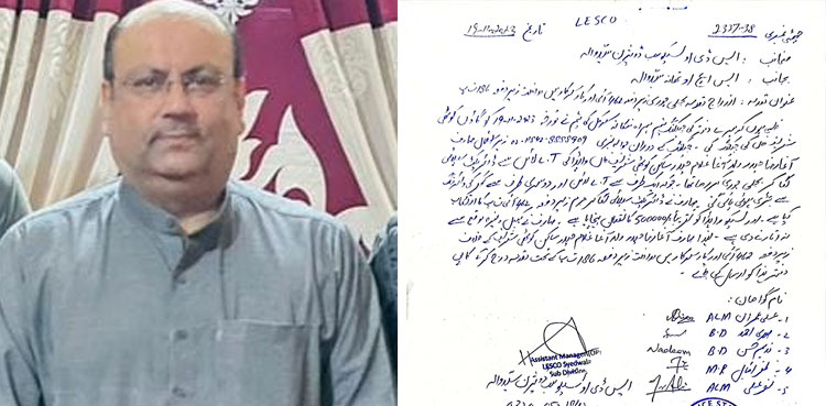 Ex-MPA Agha Ali Haider, electricity theft, power theft, LESCO