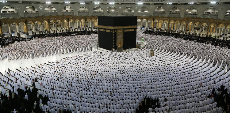 Hajj 2025, hajj , FBR