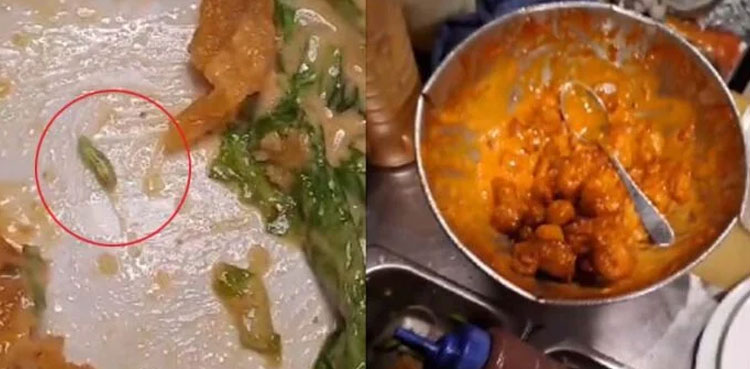 Insects in meals, Karachi airport, hazardous meals