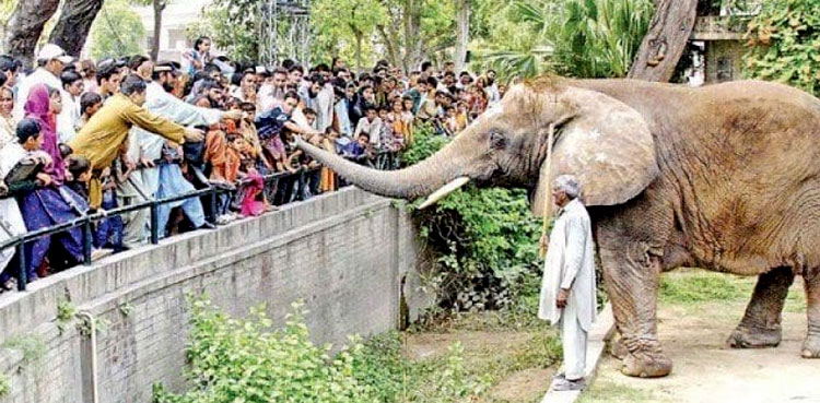 Lahore zoo closed for three months