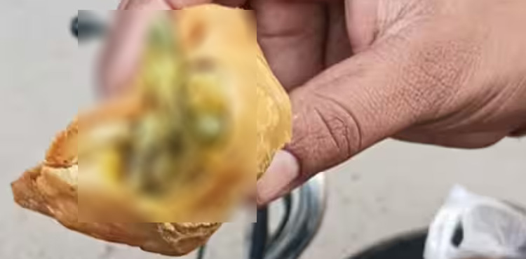 Man daughter fall sick, dead lizard, found In samosa