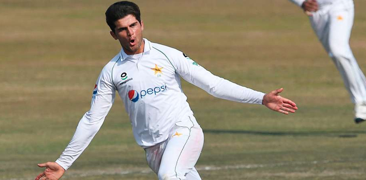 shaheen afridi, aaqib javed, khurram shehzad, pakistan, pakistan cricket, pakistan cricket team, australia, australia cricket, australia cricket team, ausvpak, pakvaus, aus v pak, pak v aus, ausvspak, pakvsaus, aus vs pak, pak vs aus, australia vs pakistan, pakistan vs australia,