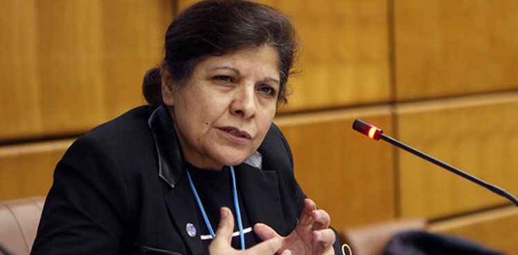Shamshad Akhtar, Pakistan debt