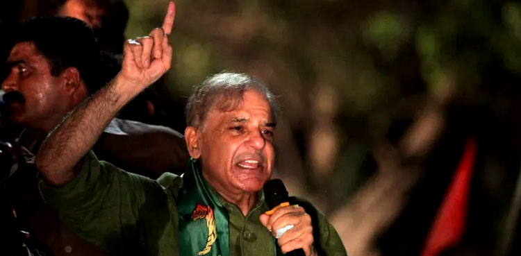 Shehbaz cleared to contest polls from Karachi's NA-242