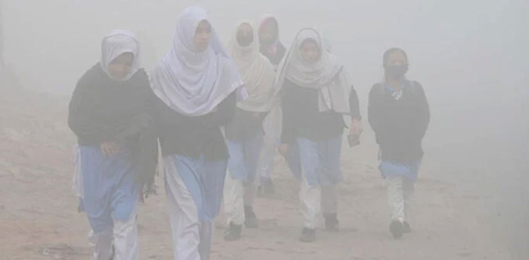 smog lhc environmental awareness educational institutes