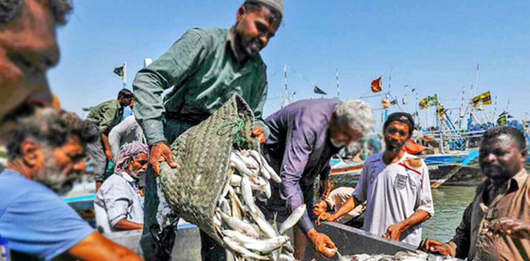 Pakistan, MMPA, exemption period, NMFS, marine fisheries
