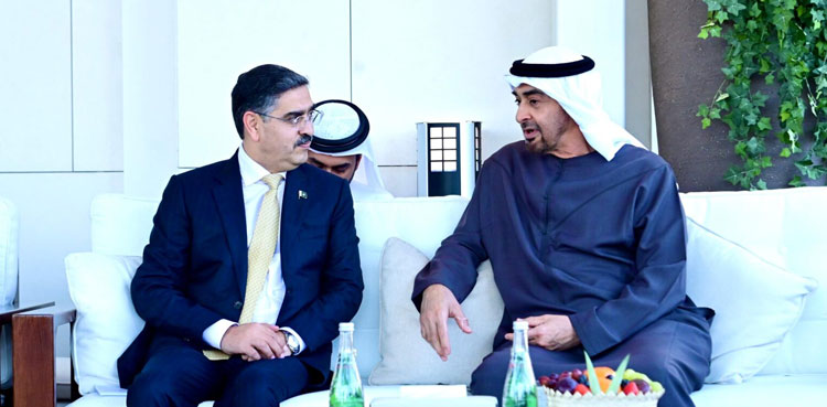 Pakistan, UAE, economic cooperation