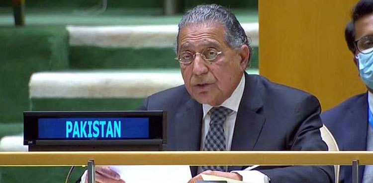 Pakistan, UNGA, Gaza truce resolution