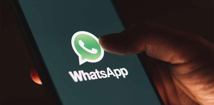 WhatsApp, WhatsApp business, new theme in WhatsApp