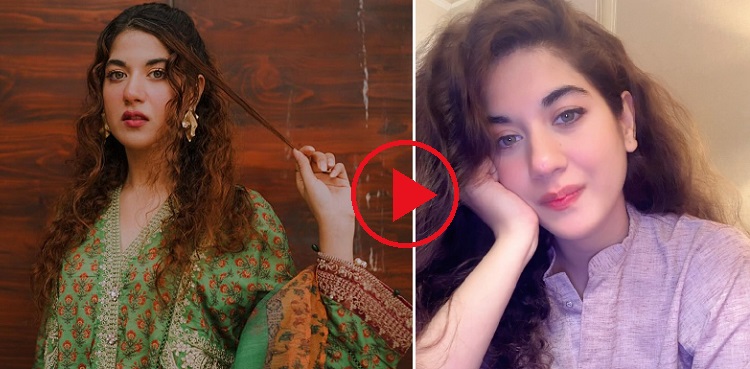 areej mohyudin, funny reel, viral, instagram