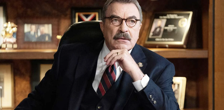 blue bloods, season 14, last season