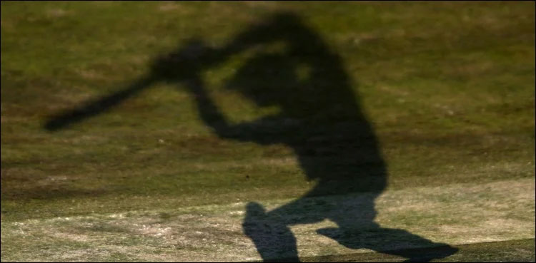 Beaten to death, Lahore murder, murder with cricket bat