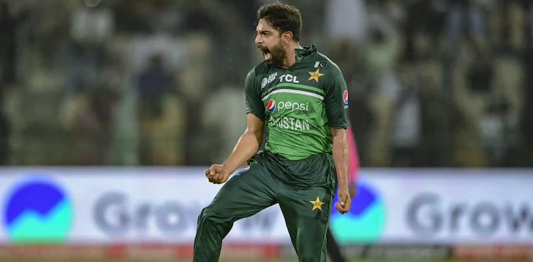 pakistan, pakistan cricket, pakistan cricket team, haris rauf, test cricket, t20i cricket, aaqib javed, haris rauf, cricket, t20 world cup, t20 world cup 2024, icc t20 world cup 2024,