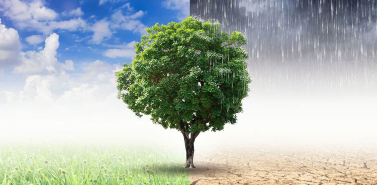 World Court, climate change