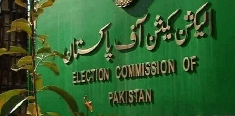 ECP, mayors, deputy mayors, Sindh, election 2024