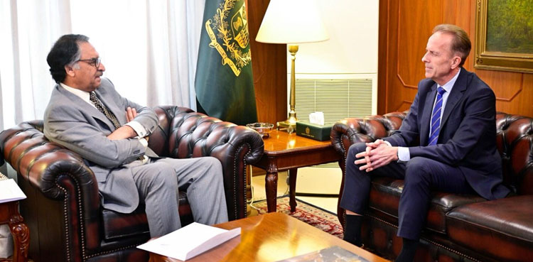 FM Jilani, Swedish ambassador
