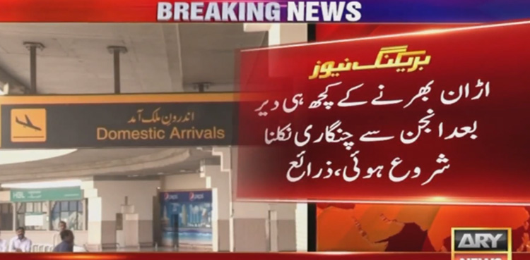 PIA aircraft survives mid-air disaster