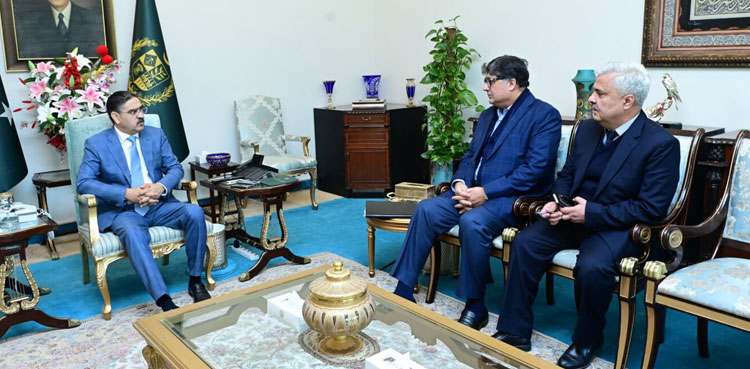 PM Kakar, Fawad Hasan Fawad, privatisation